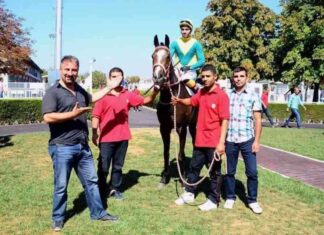 Murat Azizoğlu’nun Kızları İçin Aldığı Atla Başladığı Yetiştiricilik Serüveni news-10112024-181436