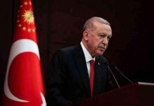 Erdoğan Kabine Toplantısı Sonrası Millete Seslendi – Haber Detayları news-11112024-062126