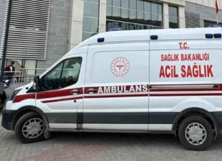 UTV kaza sonucu Ak Parti İl Başkanı ve 4 kişi yaralandı – Haber Detayları news-11112024-093410