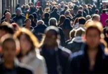 TÜİK İşsizlik Oranları ve İstatistikleri Güncellemesi news-11112024-123455