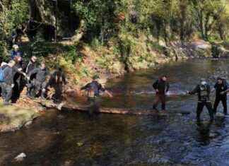 Doğaseverler Maden Deresi’nde Doğa Yürüyüşü Yaptı – Keşif ve Macera news-11112024-183642