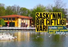 SASKİ Çiftliği ve Tarım Projesi: Detaylar ve Gelişmeler news-12112024-094323