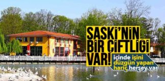 SASKİ Çiftliği ve Tarım Projesi: Detaylar ve Gelişmeler news-12112024-094323