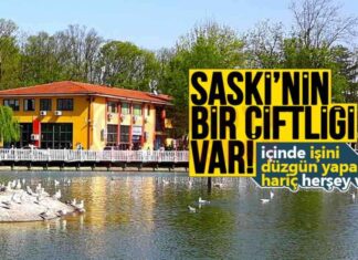 SASKİ Çiftliği ve Tarım Projesi: Detaylar ve Gelişmeler news-12112024-094323