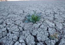 Dünya Meteoroloji Örgütü’nün Son Duyurusu – Hava Durumu Güncellemesi news-14112024-171644