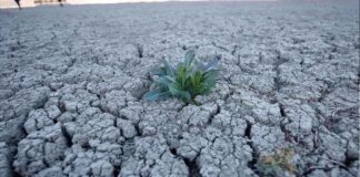 Dünya Meteoroloji Örgütü’nün Son Duyurusu – Hava Durumu Güncellemesi news-14112024-171644