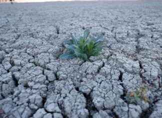 Dünya Meteoroloji Örgütü’nün Son Duyurusu – Hava Durumu Güncellemesi news-14112024-171644