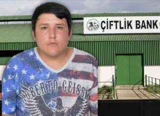 Tosuncuk Mehmet Aydın’dan İtiraf Mektubu: Gerçekler Ortaya Çıkıyor news-14112024-203506