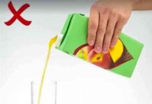 Yanlış Bilgileri Düzeltmek İçin İşte Doğru Bilinenler – Yol Gösterici Makale news-17112024-101458