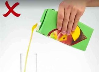 Yanlış Bilgileri Düzeltmek İçin İşte Doğru Bilinenler – Yol Gösterici Makale news-17112024-101458