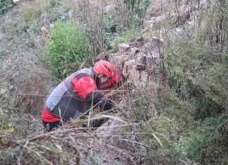 Baba Sabah Namazı İçin Evden Kayboldu – Ne Oldu? news-18112024-193353