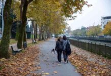 Sakarya Kent Merkezindeki Parklar Güz Renkleriyle Canlandı news-18112024-223640