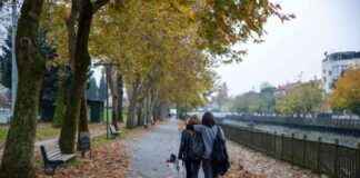 Sakarya Kent Merkezindeki Parklar Güz Renkleriyle Canlandı news-18112024-223640