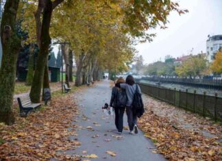 Sakarya Kent Merkezindeki Parklar Güz Renkleriyle Canlandı news-18112024-223640