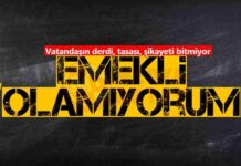 Hatalı Emeklilik İşlemleri Nedeniyle Vatandaşlar İsyan Ediyor news-19112024-044015