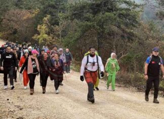 Kılıçkaya Zirvesi: Doğaseverler İçin Unutulmaz Yolculuk news-19112024-074211