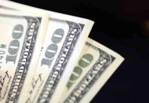 Sahte Dolar Alarmı: Nasıl Tanıyabilir ve Korunabilirsiniz? news-20112024-105526
