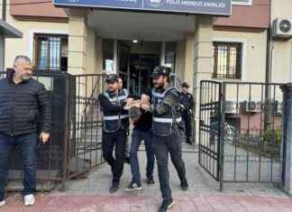 Azerbaycanlı kadını öldüren şüpheli yakalandı – Son Dakika Haberleri news-21112024-023341