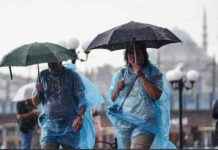 Meteoroloji’den 49 İl İçin Sarı Alarm Durumu ve Uyarıları – Hava Durumu Güncellemesi news-21112024-145611