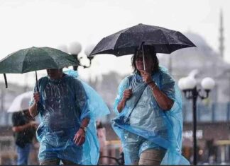 Meteoroloji’den 49 İl İçin Sarı Alarm Durumu ve Uyarıları – Hava Durumu Güncellemesi news-21112024-145611