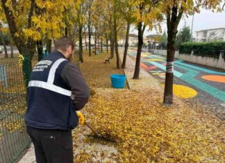 Sonbahar Temizliği Nasıl Yapılır? İpuçları ve Püf Noktaları news-22112024-043213