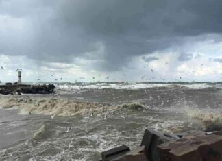 Sakarya’da Balıkçılar Denize Açılamadı: Hava Şartları Engeli news-25112024-231121