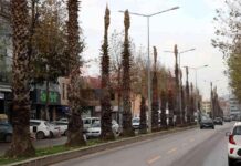 Büyükşehir, yeşil alanları teknoloji ile koruyor. news-27112024-052425