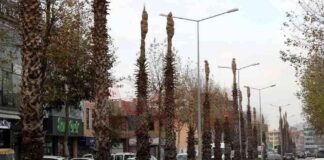 Büyükşehir, yeşil alanları teknoloji ile koruyor. news-27112024-052425
