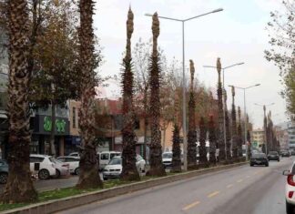 Büyükşehir, yeşil alanları teknoloji ile koruyor. news-27112024-052425