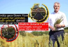 Sakarya Botanik Park Projesi: Hayalden Gerçeğe Adım Adım! news-29112024-235530