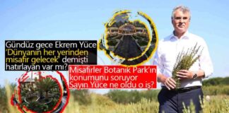 Sakarya Botanik Park Projesi: Hayalden Gerçeğe Adım Adım! news-29112024-235530