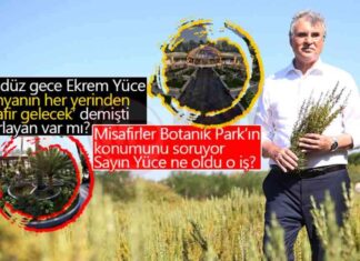 Sakarya Botanik Park Projesi: Hayalden Gerçeğe Adım Adım! news-29112024-235530