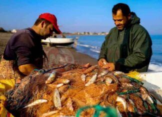 Sakarya’da Geleneksel Balıkçılık: Bir Buçuk Asırlık Geleneğin İzleri news-30112024-210353