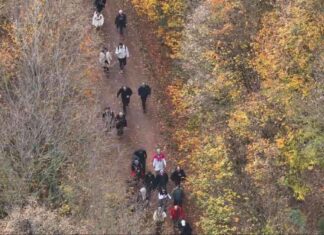 Elmalı ve Aslanlar Göleti: Doğaseverlerin Son Rotası elmal-ve-aslanlar-gleti-doaseverlerin-son-rotas