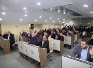 Engelliler İçin Yeni Araç: Kolay Kullanım ve Yenilikler engelliler-iin-yeni-ara-kolay-kullanm-ve-yenilikler