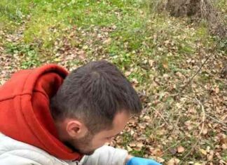 Kahramanlar Köpek Sakarya Nehri Kurtarma Olayı kahramanlar-kpek-sakarya-nehri-kurtarma-olay