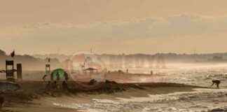 Fotoğraf Yarışması Kazananları Açıklandı – Kazananlar Listesi news-02122024-160125