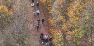 Elmalı ve Aslanlar Göleti: Doğaseverlerin Son Rotası news-02122024-190227