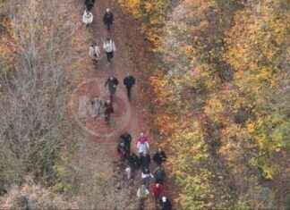 Elmalı ve Aslanlar Göleti: Doğaseverlerin Son Rotası news-02122024-190227