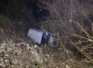 Sakarya’da şarampole devrilen hafif ticari araçta 2 kişi yaralandı – Haber Detayları sakaryada-arampole-devrilen-hafif-ticari-arata-2-kii-yaraland-haber-detaylar