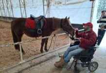 Sakarya’da Dünya Engelliler Günü Etkinlikleri 2021: Detaylar ve Programlar sakaryada-dnya-engelliler-gn-etkinlikleri-2021-detaylar-ve-programlar