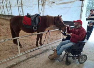 Sakarya’da Dünya Engelliler Günü Etkinlikleri 2021: Detaylar ve Programlar sakaryada-dnya-engelliler-gn-etkinlikleri-2021-detaylar-ve-programlar