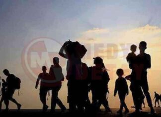 Sakarya’daki Suriyeli Sayısı ve Durumu – Son Güncel Veriler sakaryadaki-suriyeli-says-ve-durumu-son-gncel-veriler