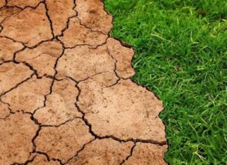 Toprakların İklim Değişikliğinden Zarar Görmesi ve Çözüm Yolları – 80 characters topraklarn-iklim-deiikliinden-zarar-grmesi-ve-zm-yollar-80-characters