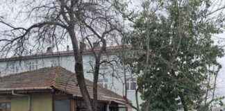 Zekiye Uzunoğlu’nun Evde Ölü Bulunması – Haber ve Detaylar zekiye-uzunolunun-evde-l-bulunmas-haber-ve-detaylar