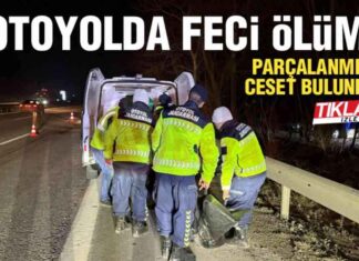 Otoyolda Meydana Gelen Ölümcül Kaza! otoyolda-meydana-gelen-lmcl-kaza