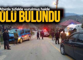 Ahırda Tüfekle Vurularak Ölü Bulundu ahrda-tfekle-vurularak-l-bulundu