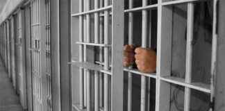 Kısmi Af Yasa Tasarısı: Detaylar ve Süreç ksmi-af-yasa-tasars-detaylar-ve-sre