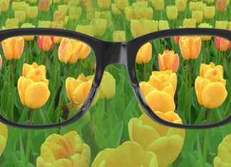 Renk Körlüğü: Sebepleri, Belirtileri ve Çözümleri renk körlüğü, renk körlüğü testi, renk körlüğü gözlüğü, renk körlüğü nedir, renk körlüğü lensi, renk körlüğü tedavisi, renk körlüğü çeşitleri