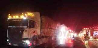 Tomruk yüklü tırın balataları alev aldı – Haber tomruk-ykl-trn-balatalar-alev-ald-haber